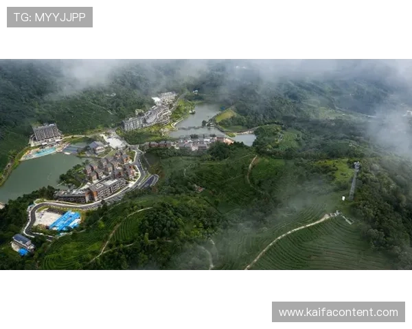 凯发真人集团怎么样：促销活动与会员福利的实际效果评估